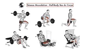 entrainement musculation