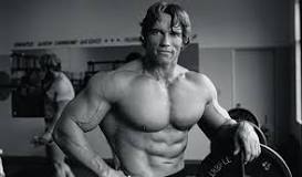 entrainement arnold schwarzenegger