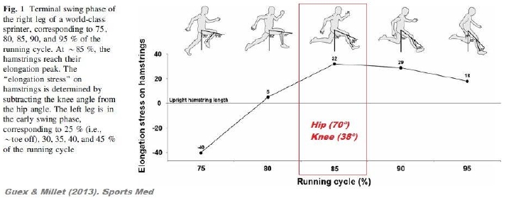sprint entraînement