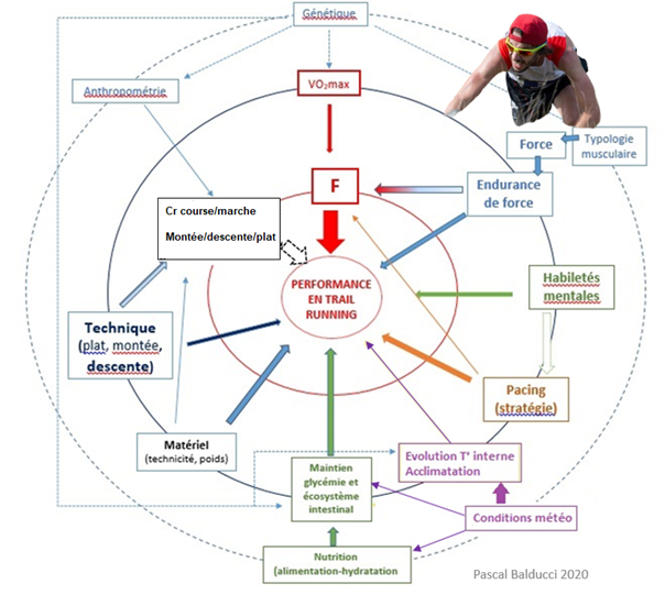 entrainement trail 70 km