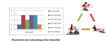entraînement rameur débutant