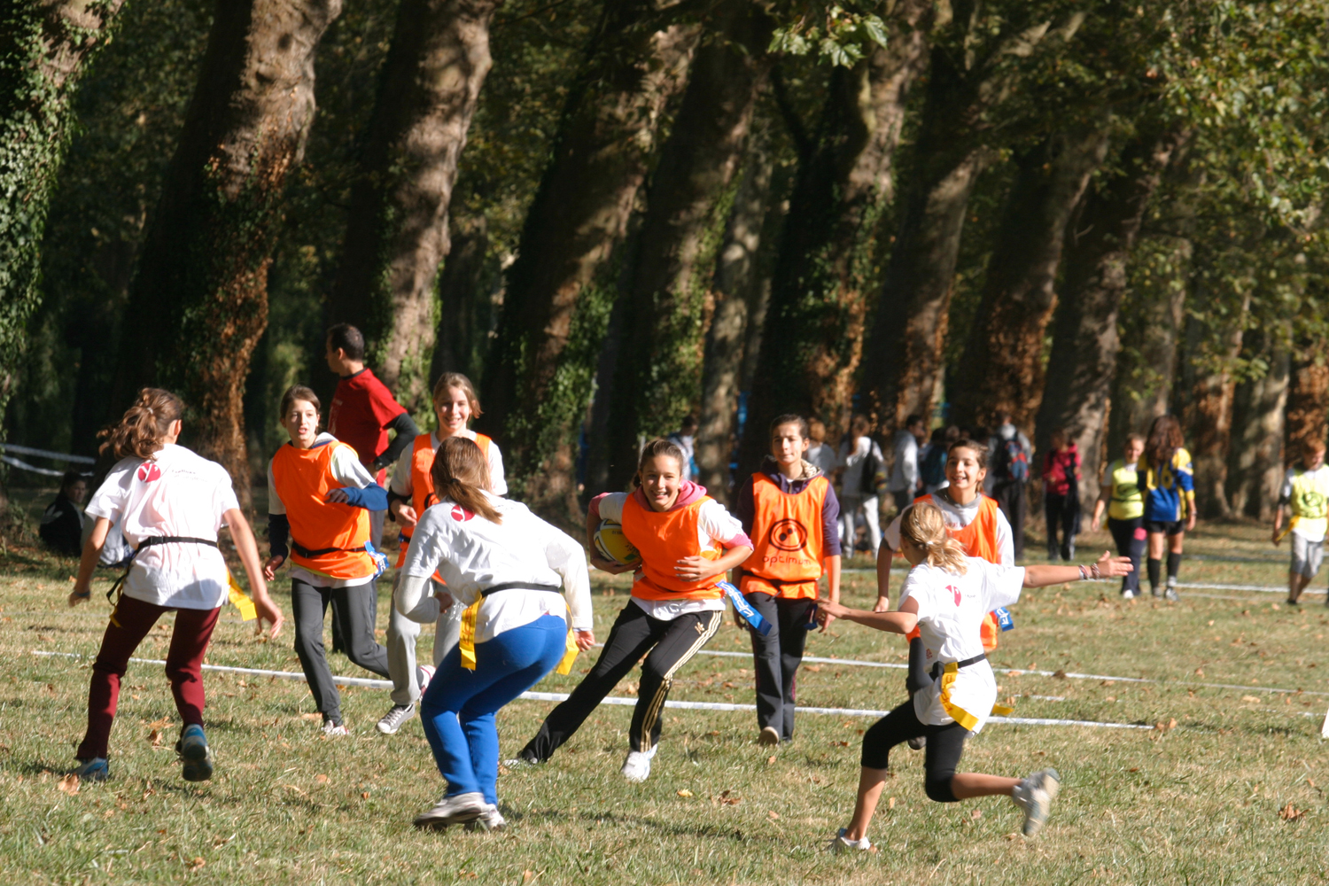 sportes